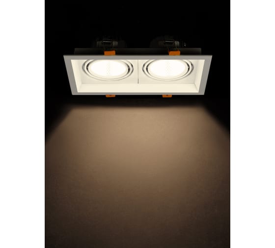 Фото Светильник встраиваемый карданный "Фокус-1" LED CSL-01-2x11-WW 22 Вт, 35°, 3000 К, 80 Ra, IP20, TDM {SQ0369-0411} (3)