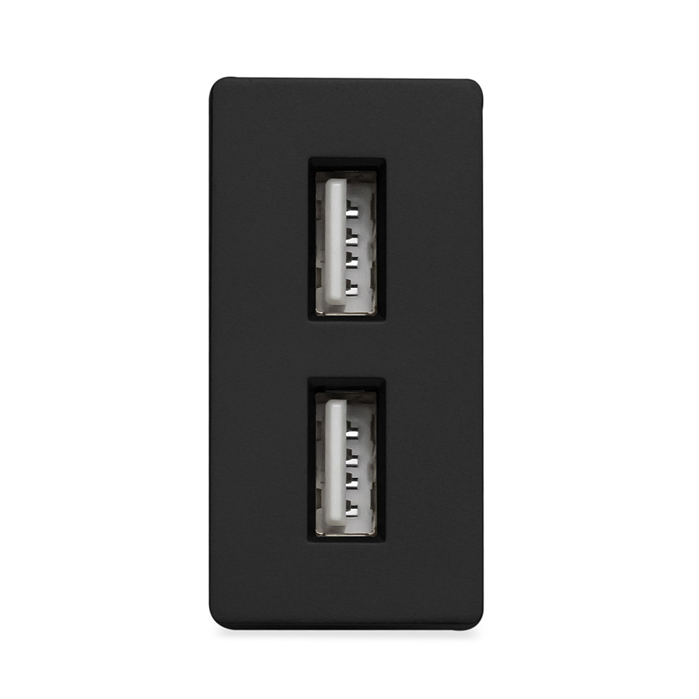 Фото Розетка черная, 1/2, USB A + USB A разъем, модуль, Vell {BK-1/2-AA}