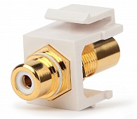 Фото Вставка KJ1-RCA/WH-HG-WH формата Keystone Jack с прох. адапт. RCA (бел.) Hex. type gold plated ROHS бел. Hyperline 246970 (2)