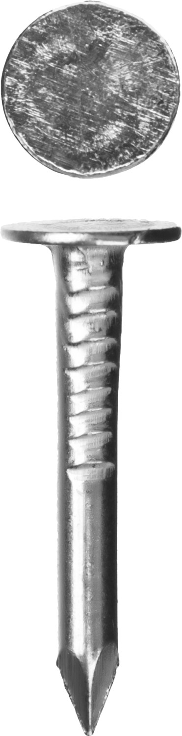 Фото Гвозди с большой потайной головкой, оцинкованные, 25 х 3.0 мм, 5 кг, ЗУБР {305090-30-025}