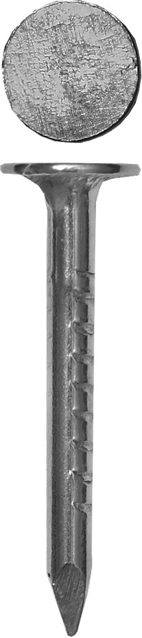 Фото Гвозди с большой потайной головкой, оцинкованные, 30 х 3.0 мм, 1 кг., ЗУБР {305091-30-030}