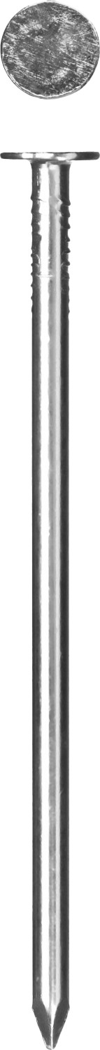 Фото Гвозди с большой потайной головкой, оцинкованные, 30 х 3.0 мм, 5 кг, ЗУБР {305090-30-030}