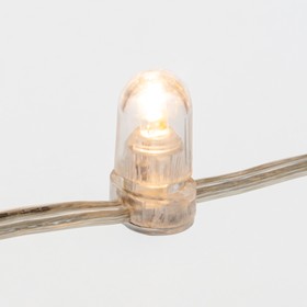 Фото Гирлянда «LED Клип-лайт» 12 V, прозрачный ПВХ, 150 мм, цвет диодов Теплый белый, Flashing (Белый) {325-166} (1)