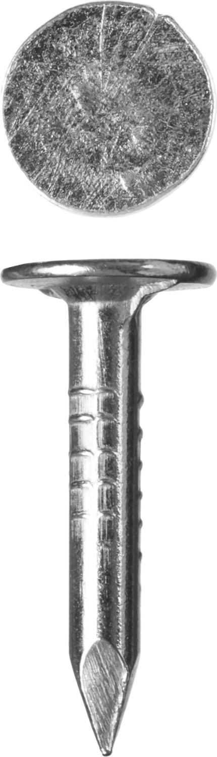 Фото Гвозди с большой потайной головкой, оцинкованные, 20 х 3.0 мм, 5 кг, ЗУБР {305090-30-020}