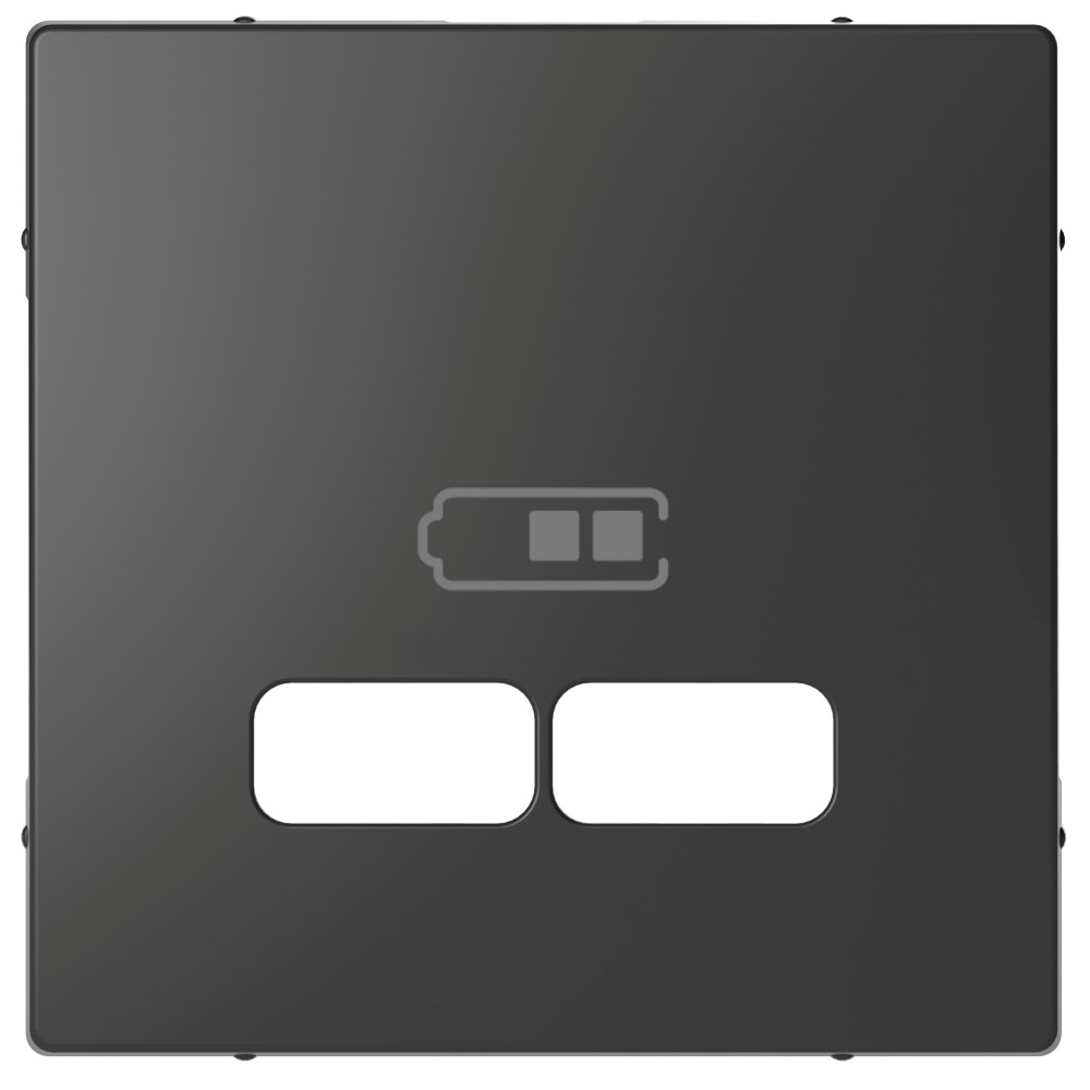 Фото MERTEN D-Life центральная накладка для USB механизма 2,1а, антрацит {MTN4367-6034}
