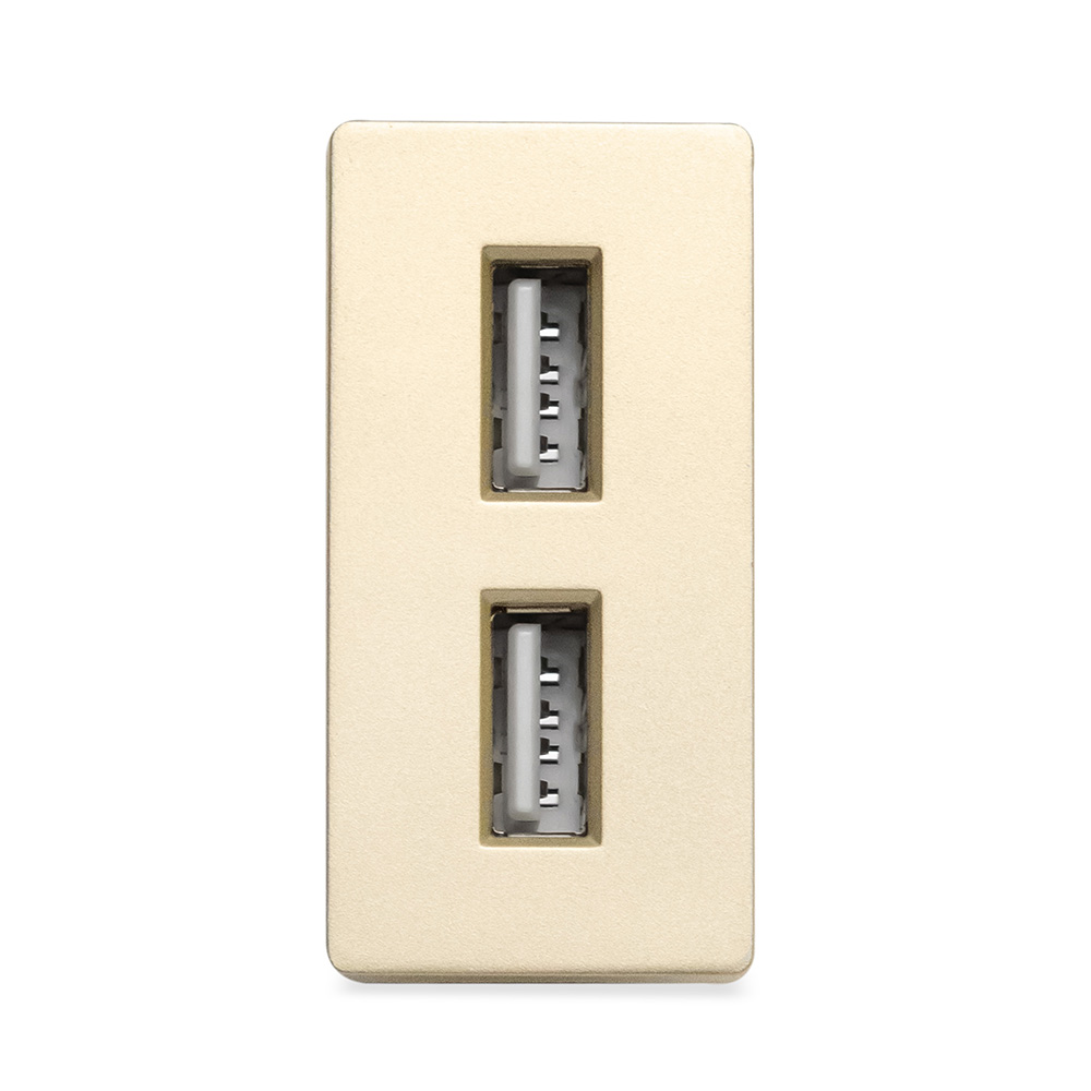 Фото Розетка золотая, 1/2, USB A + USB A разъем, 1A, модуль, Vell {GD-1/2-AA}