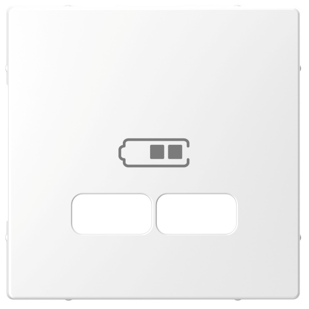 Фото MERTEN D-Life центральная накладка для USB механизма 2,1а, бел. лотос {MTN4367-6035}