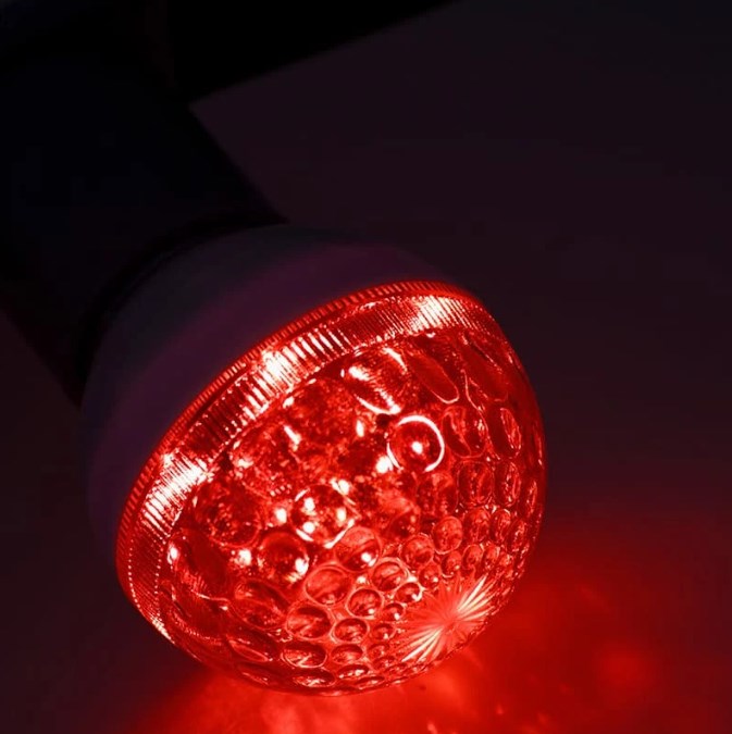 Фото Лампа шар e27 10 LED Ø50мм красная 24В (постоянное напряжение) {405-612} (1)