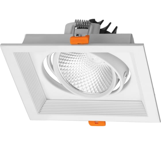 Фото Светильник встраиваемый карданный "Фокус-1" LED CSL-01-1x11-NW 11 Вт, 35°, 4000 К, 80 Ra, IP20, TDM {SQ0369-0413} (1)