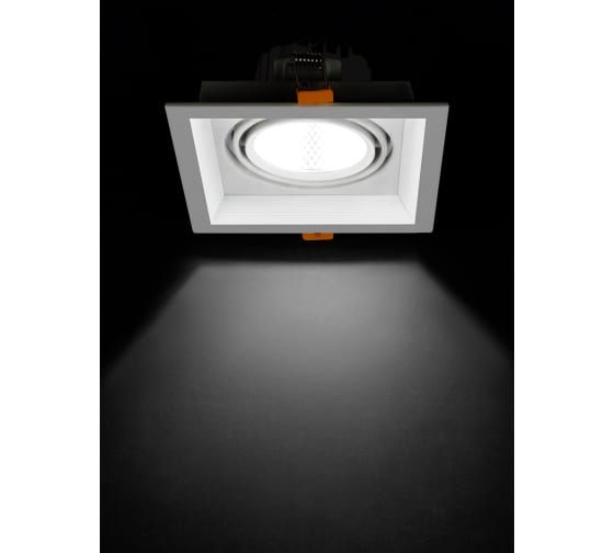 Фото Светильник встраиваемый карданный "Фокус-1" LED CSL-01-1x11-NW 11 Вт, 35°, 4000 К, 80 Ra, IP20, TDM {SQ0369-0413} (3)