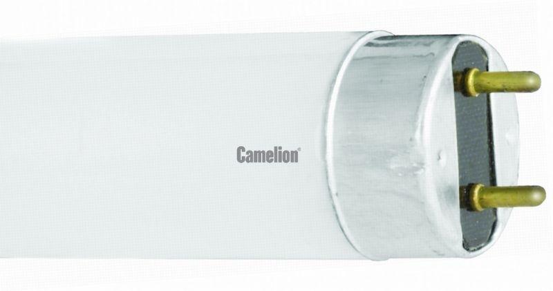 Фото Лампа люминесцентная FT8-15W/54 15Вт T8 6500К G13 Camelion 3007