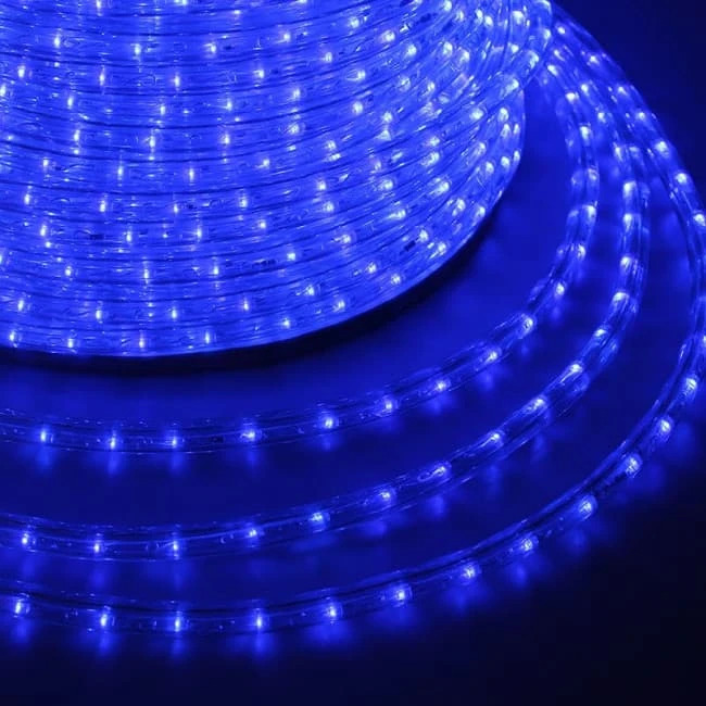Фото Дюралайт LED, постоянное свечение (2W) - синий Эконом 24 LED/м {121-123-4}