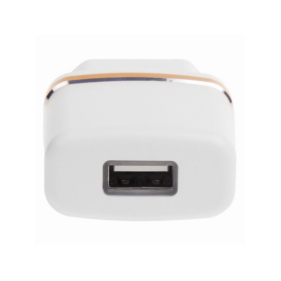 Фото Сетевое зарядное устройство Rexant USB (СЗУ) (5 V, 2100 mA) белое с золотой полоской {18-2222} (1)