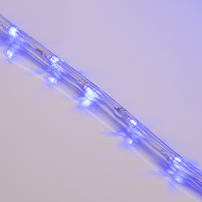 Фото Дюралайт LED, постоянное свечение (2W) - синий, 24 LED/м, Ø10мм, бухта 100м {121-123-3} (1)