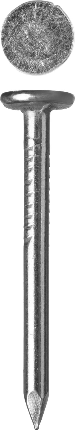 Фото Гвозди с большой потайной головкой, оцинкованные, 40 х 3.0 мм, 5 кг, ЗУБР {305090-30-040}