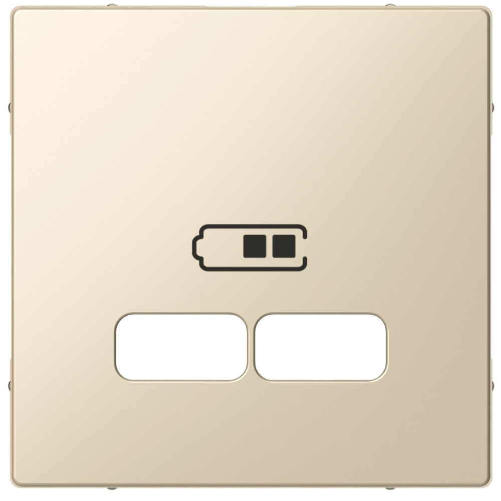 Фото Центральная накладка MERTEN для USB механизма 2,1а, бежевый, SM {MTN4367-0344}