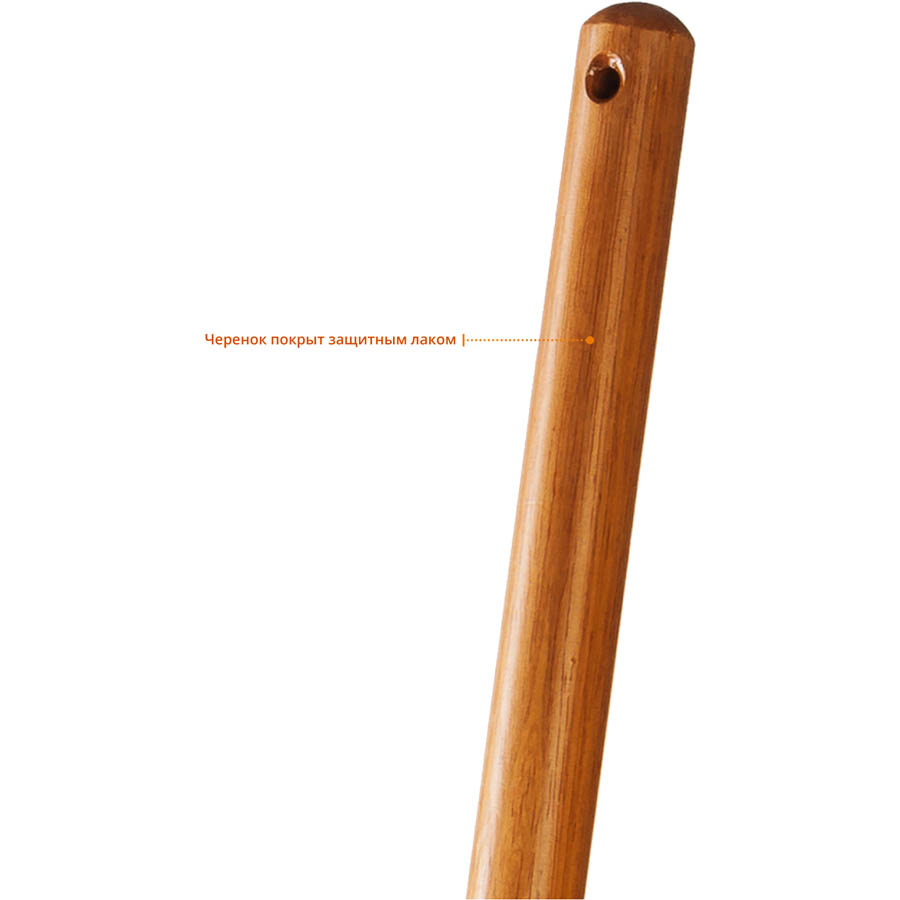 Фото Лопата "Профи-10" совковая, деревянный черенок, ЗУБР Профессионал {39361_z02} (4)