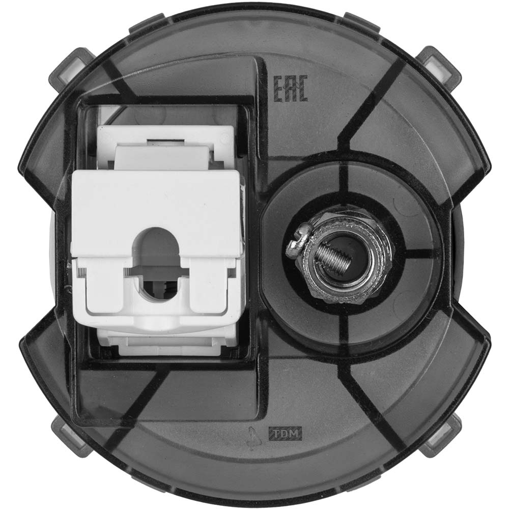 Фото Розетка компьютерная RJ45 + TV розетка оконечная агат, "Байкал" TDM {SQ1819-0219} (2)