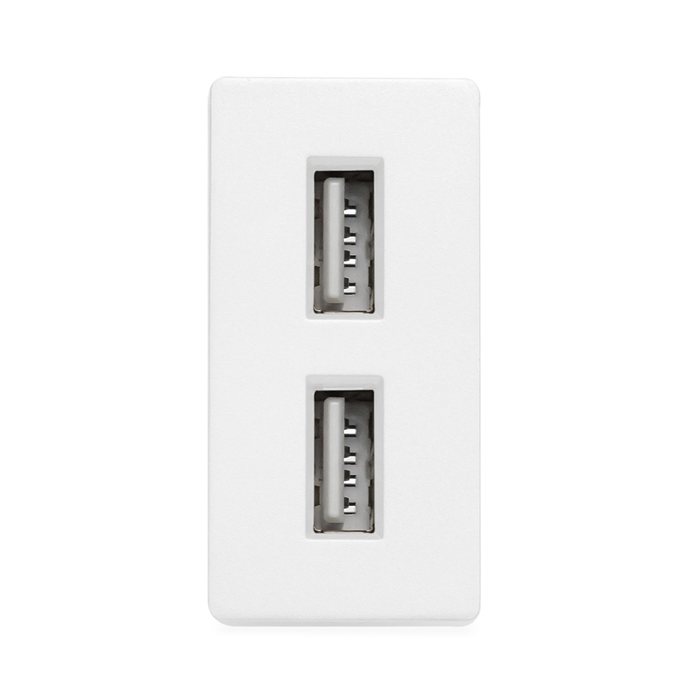 Фото Розетка белая, 1/2, USB A + USB A разъем, 1A, модуль, Vell {WH-1/2-AA}