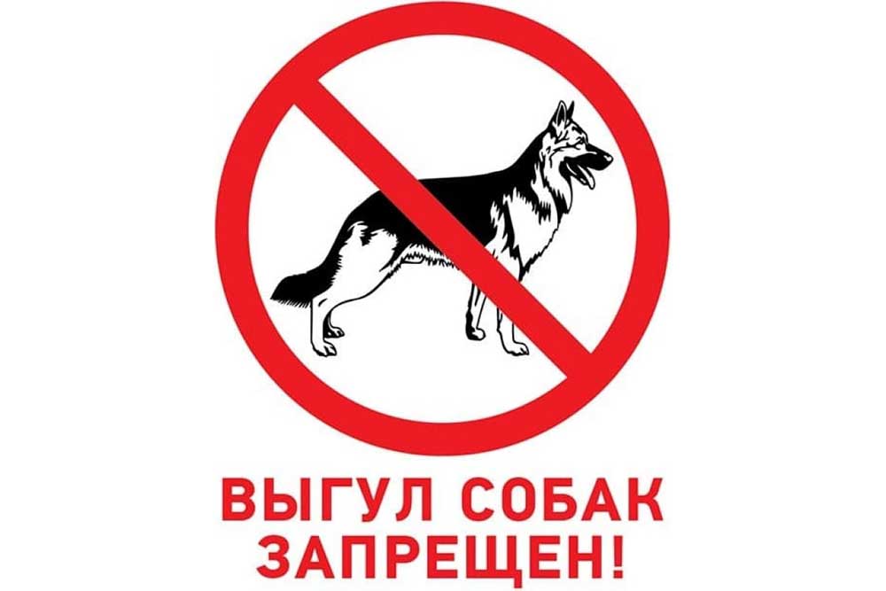 Фото Табличка ПВХ запрещающий знак «Выгул собак запрещен» 200х200 мм REXANT {56-0039-2}